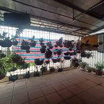  45m2 - 4