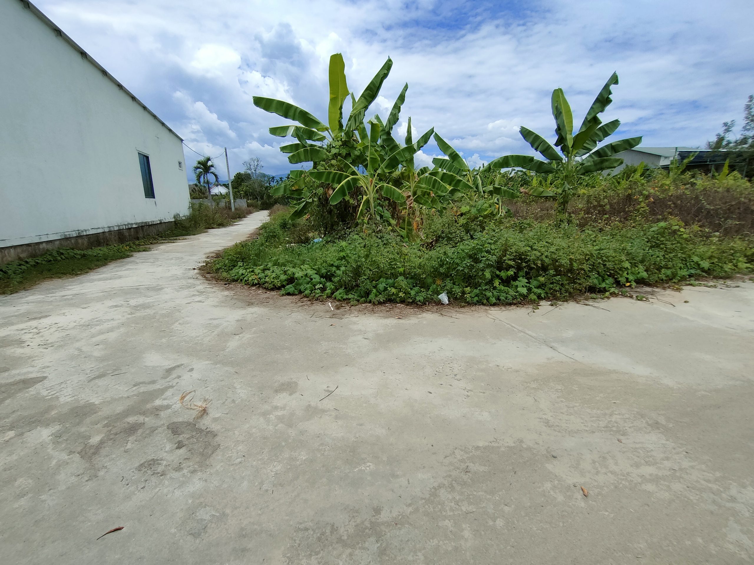 Bán đất Diên Phước đường Thành Hồ - dân cư đông đúc.