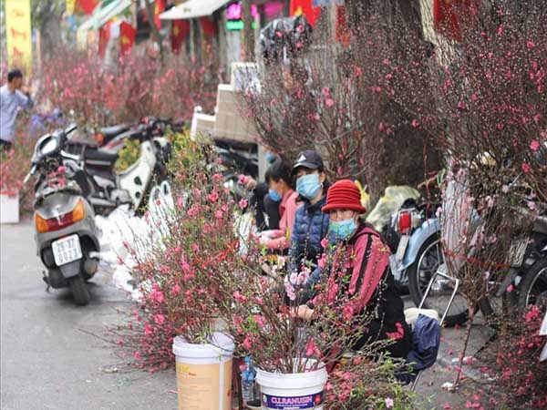 ban-nha-lương-the-vinh-4