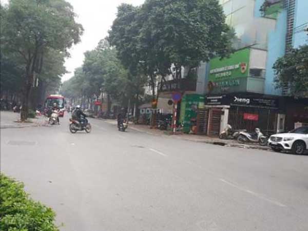 ban-nha-nguyen-thi-thap-2