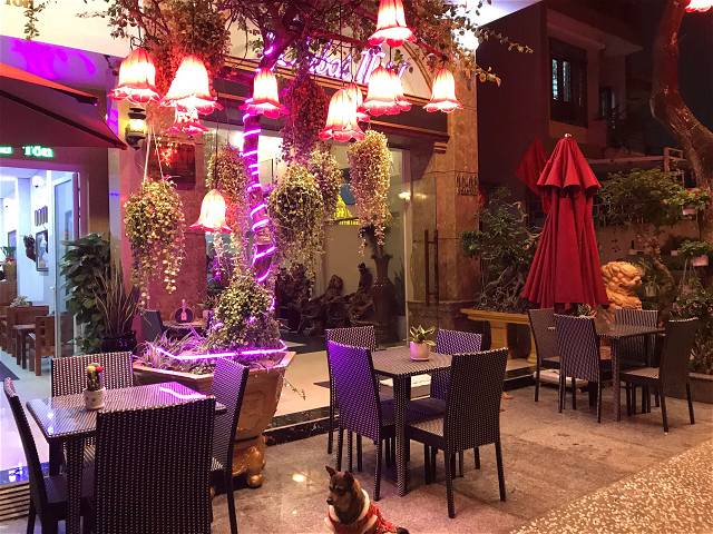 Khách sạn 7 tầng, 32 PN, 234m2, Trung tâm Phố Tây An Thượng, Ngũ Hành Sơn, chỉ 54 tỷ