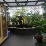  70m2 - 5