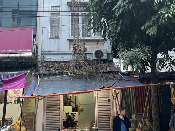 ngoi-nha-so-46-dien-tich-48m2-ban-trong-ngo-99-2-Ai-Mo