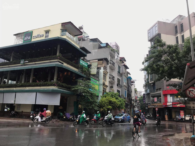 Thửa Đất Vàng Mặt Ngõ 35 Cát Linh_Ko Lỗi Phong Thủy_KD Khủng_120m2_7M Mặt Tiền_Xây Tòa Nhà