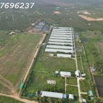  12500m2 - 1