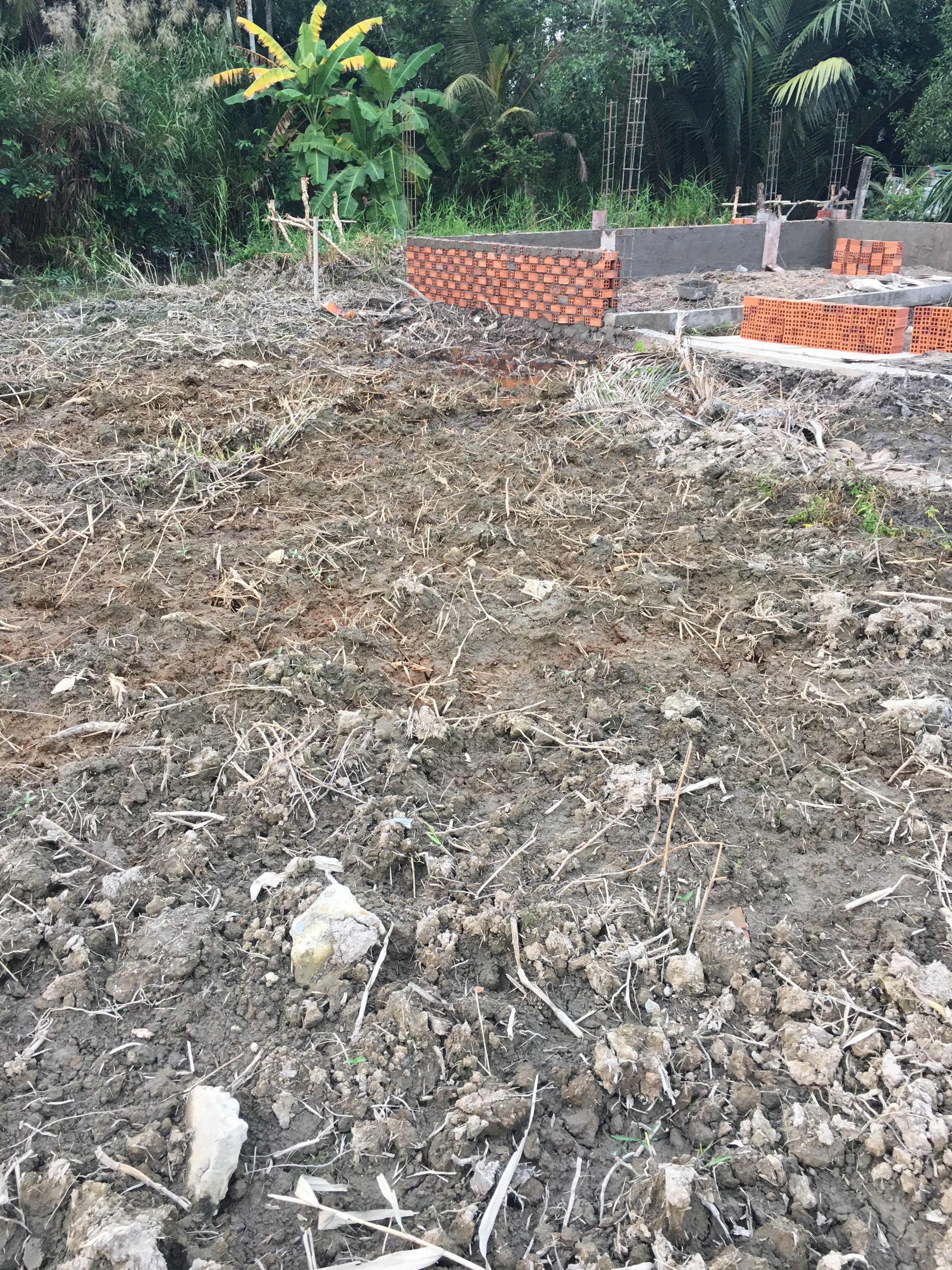 Đất Châu Thành,Long An . bán full thổ