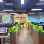  800m2 - 6