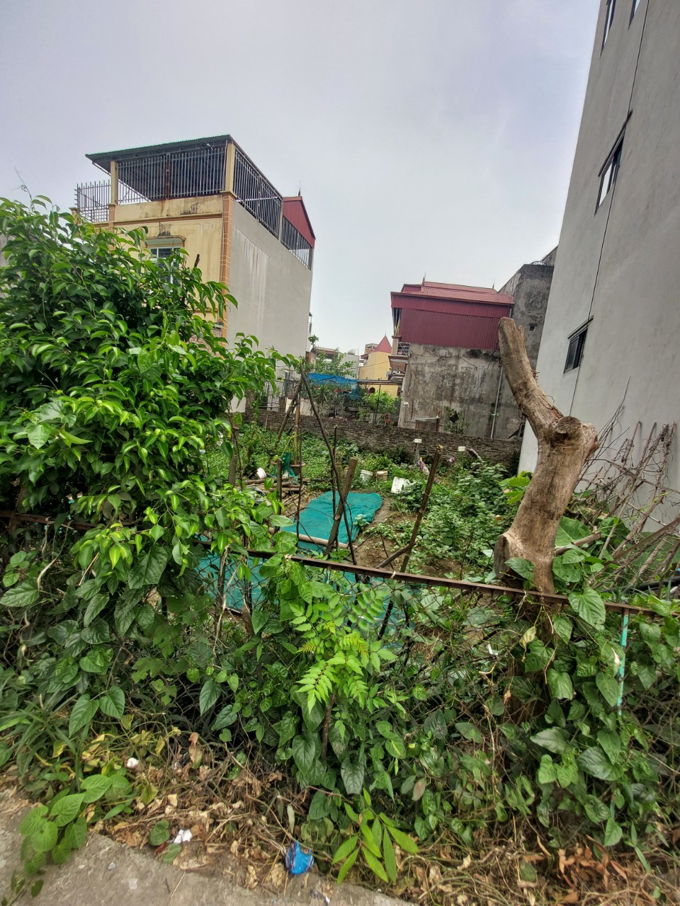 ĐẤT YÊN KIỆN 60M2 MT5M 3.2 TỶ, NGÕ NÔNG, THÔNG AN SINH TỐT, DÂN TRÍ CAO.