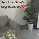  45m2 - 1