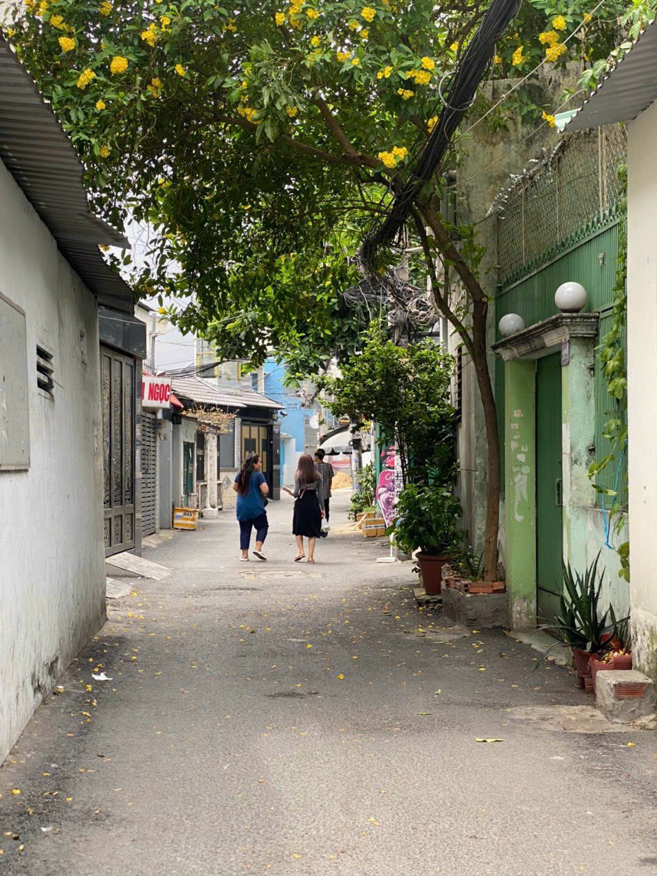 334/ Nguyễn Văn Nghi, F7, Gò Vấp.