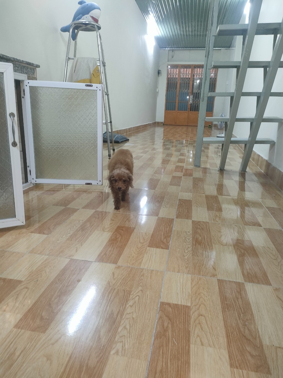 Cho thuê nhà nguyên căn hẻm ba gác Nguyễn Duy p9 Q8.DT:3x16 Trệt+ gác suốt.Giá:5tr3/th