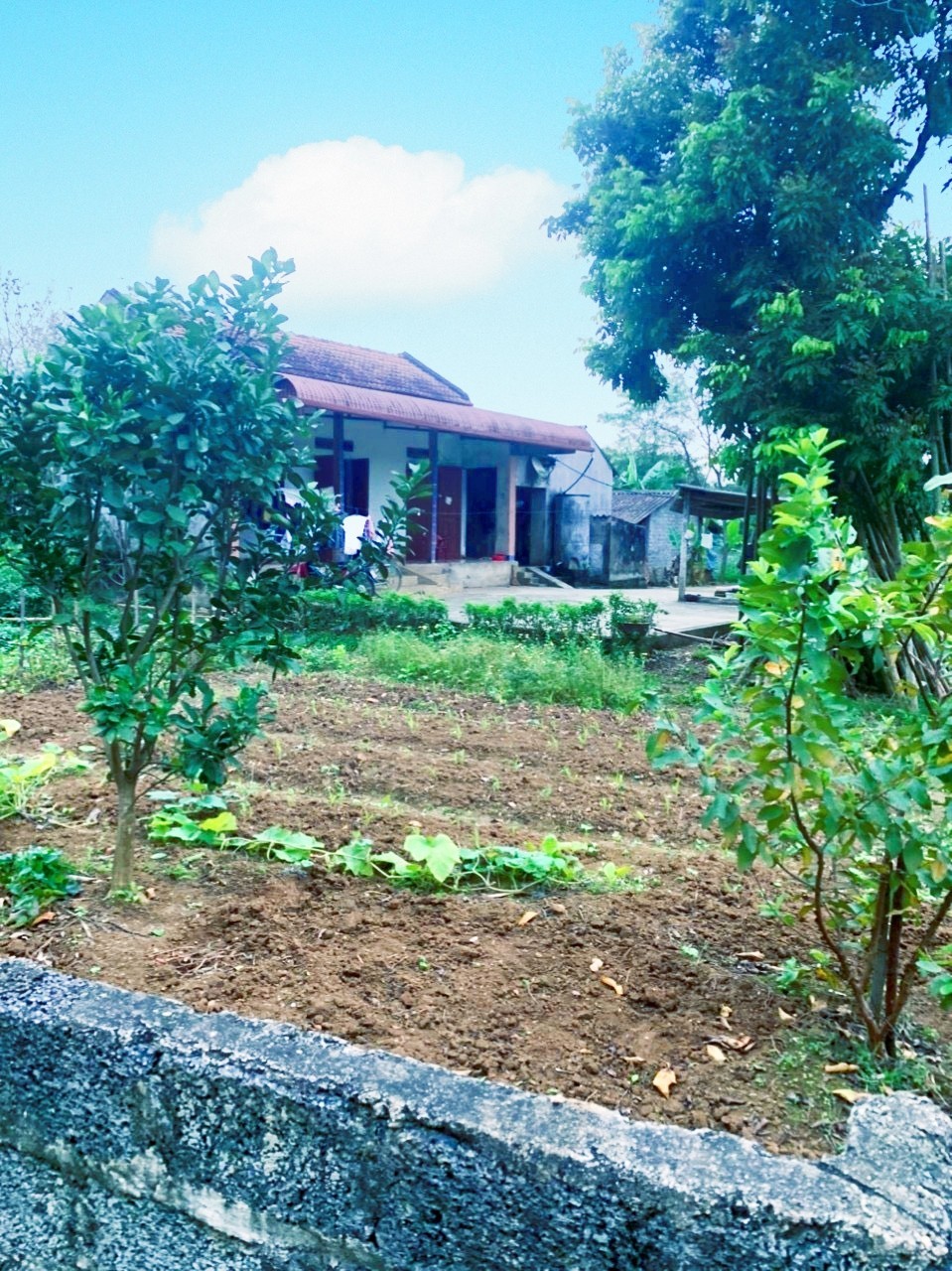 Siêu Phẩm 959M Full thổ cư Yên Trị , Yên Thủy, Hòa Bình GIÁ NHỈNH 1 TỶ