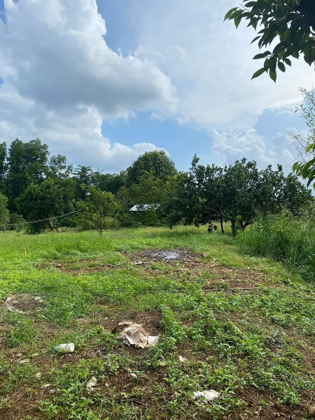 CẦN BÁN NHANH LÔ ĐẤT ĐẸP GIÁ RẺ ĐẦU TƯ SINH LỜI CAO