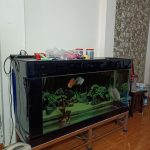 55m2 - 7
