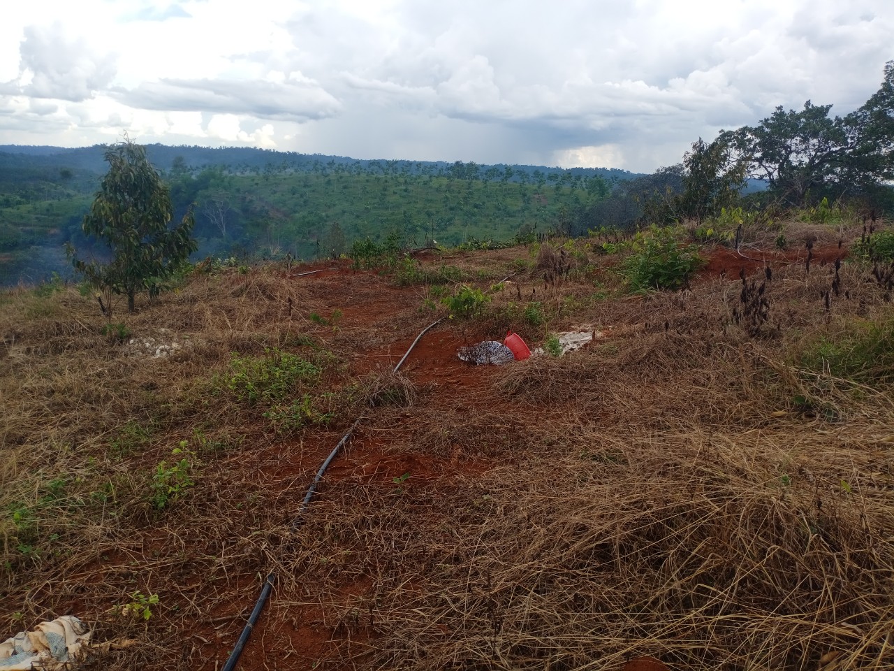 Chính Chủ Cần Bán Lô Đất Vườn Vị Trí Đẹp Tại Bình Phước.