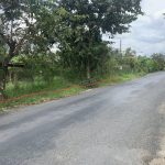  250m2 - 1