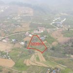  3239m2 - 1