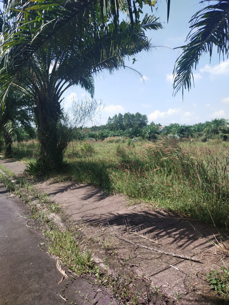 Chính Chủ Cần Bán Lô Đất Tỉnh Đồng Nai