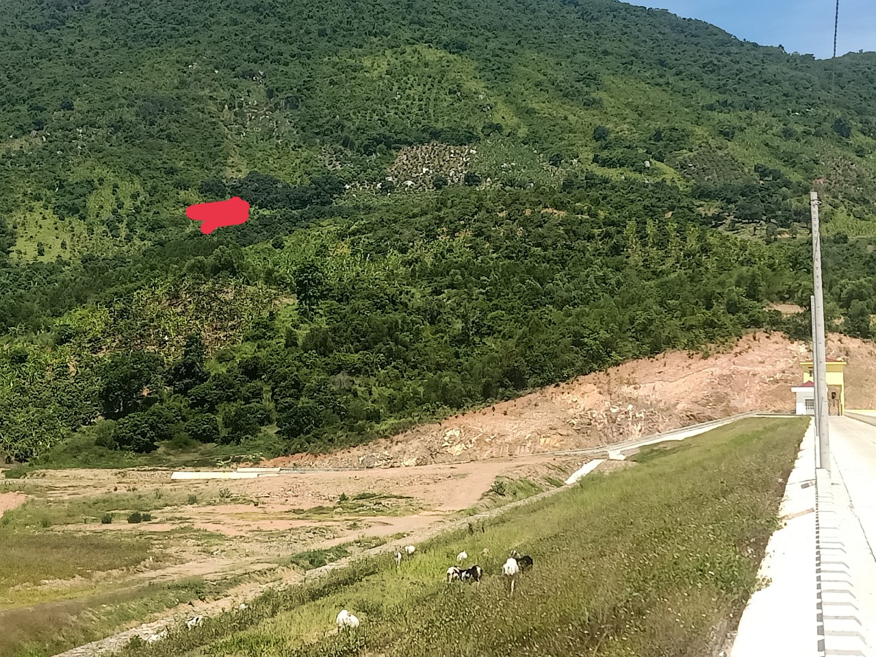 Chính Chủ Cần Bán Nhanh Đất Rẫy Giá Thấp Nhất Khu Vực Nha Trang - Khánh Hòa