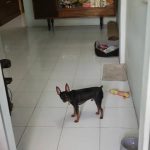  30m2 - 4