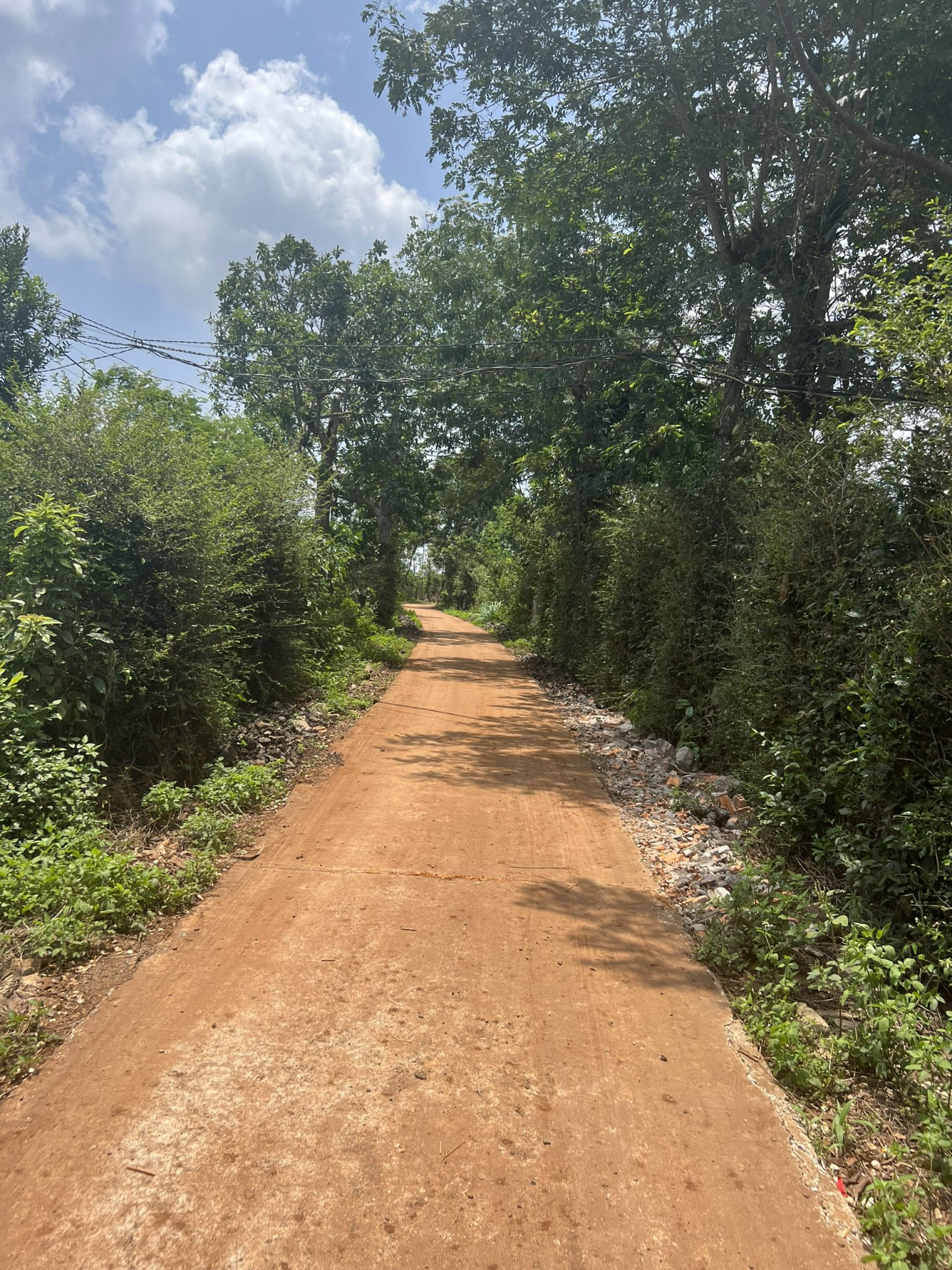 Ea Hồ - Krong Năng - Đắk Lắk diện tích từ 600-800m2 đường bê tông, full hồng lên thổ ngay đươc giá 149tr/lô