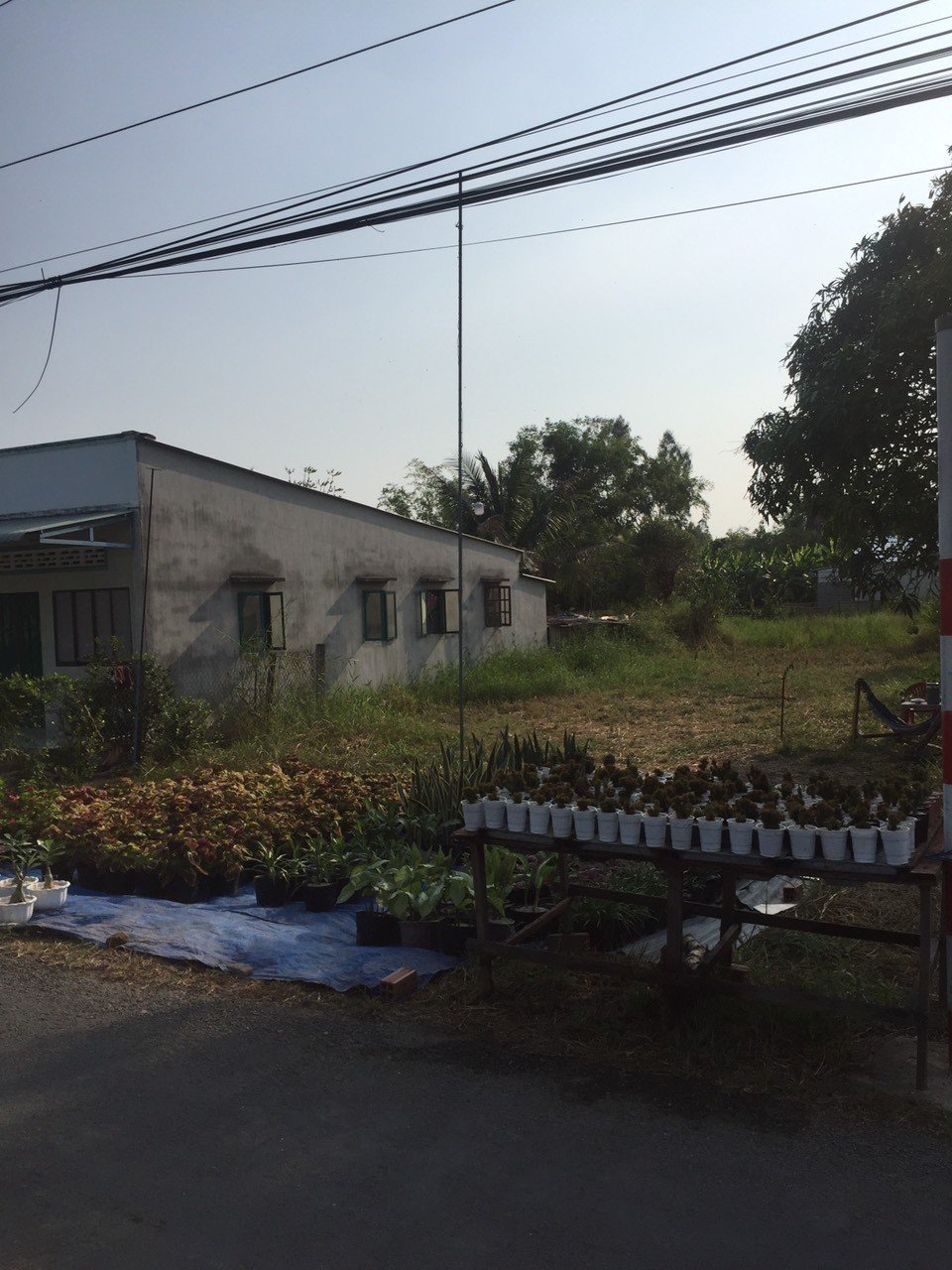 Chính Chủ Cần Bán Lô Đất tại Cần Đước, Long An