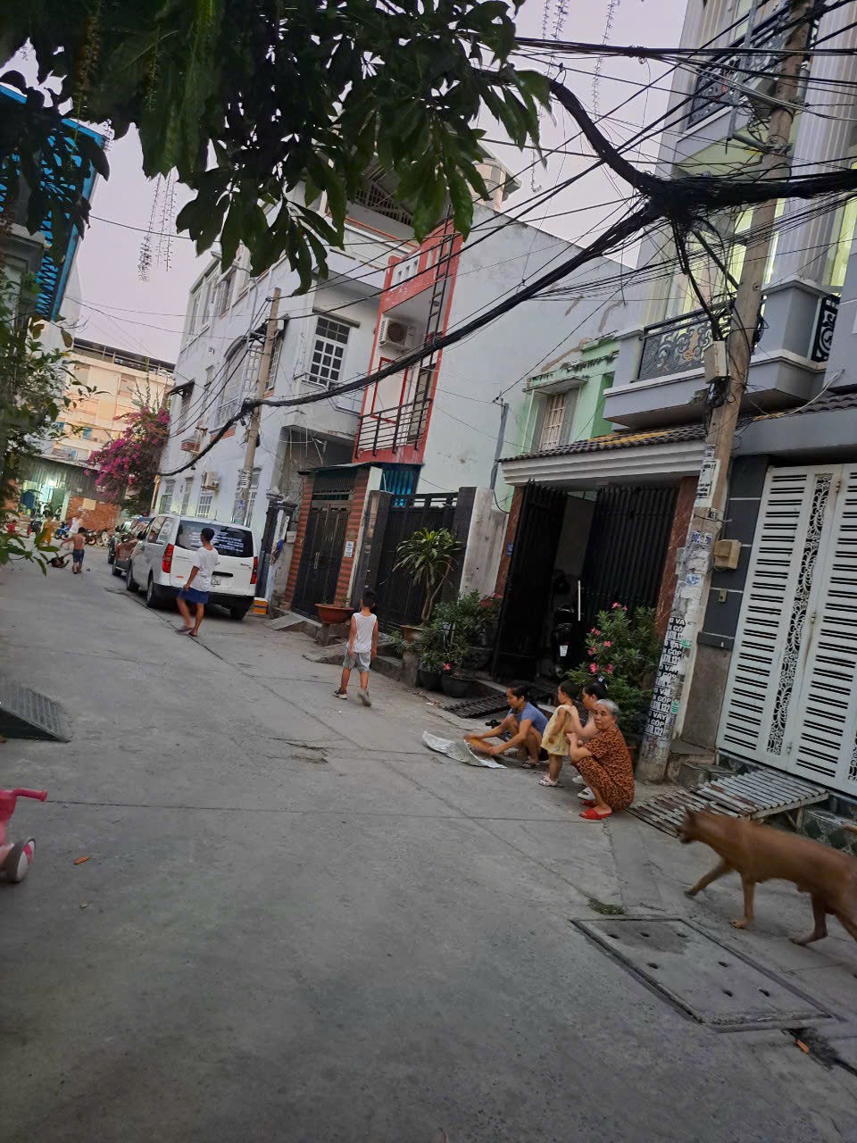 Bán nhà hẻm xe hơi Thông 6m 364/ Dương Quảng Hàm , Gò Vấp