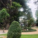  60m2 - 6