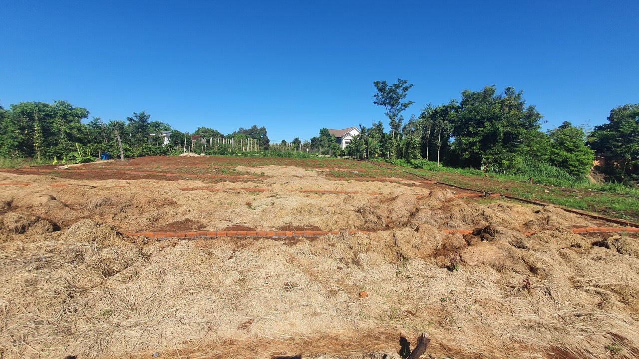 ^...^ CHÍNH CHỦ CẦN BÁN NHANH LÔ ĐẤT XÃ EA KAO,THÀNH PHỐ BUÔN MA THUỘT , ĐẮK LẮK