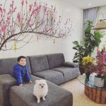  80m2 - 7