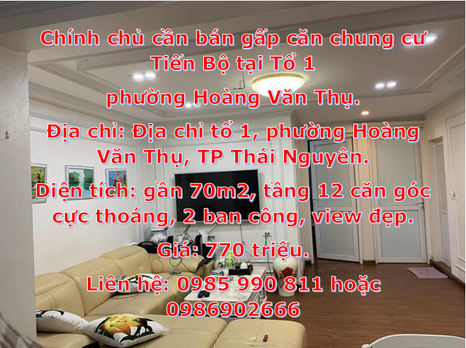 Chính chủ cần bán gấp căn chung cư Tiến Bộ tại Tổ 1, phường Hoàng Văn Thụ.