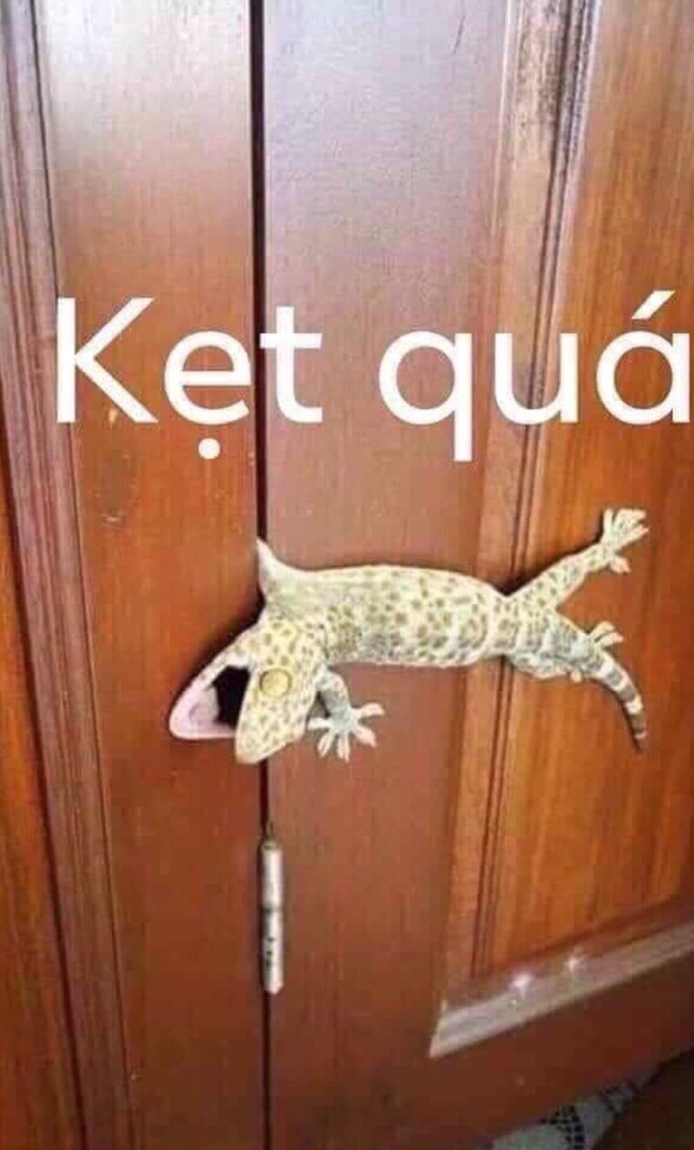 NHÀ HẺM XE TẢI BÀ HOM 32M2 - 2 TẦNG - GIÁ NHỈNH 3 TỶ