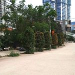 300m2 - 1