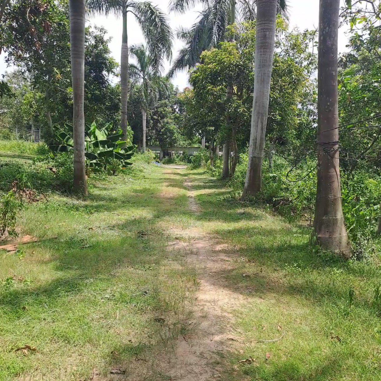 ^...^CHO THUÊ MẶT BẰNG, ĐẤT TRỐNG LÀM KHO, NHÀ XƯỞNG TẠI VĨNH YÊN, VĨNH PHÚC