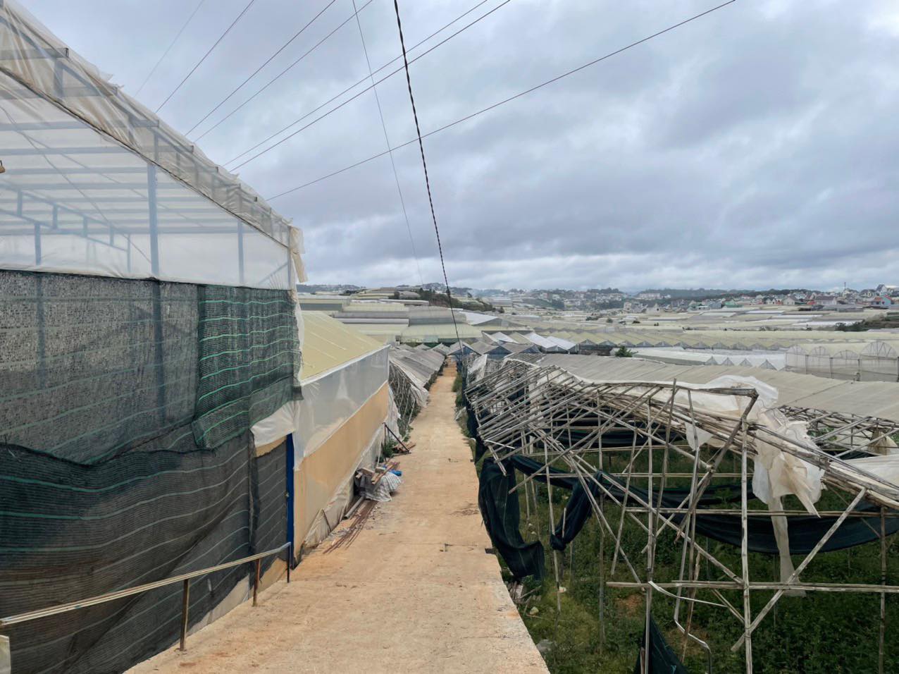 Chính chủ cần bán nhanh 2 Lô Đất Đẹp Tại Phường 12, TP Đà Lạt, Lâm Đồng.