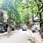  50m2 - 1