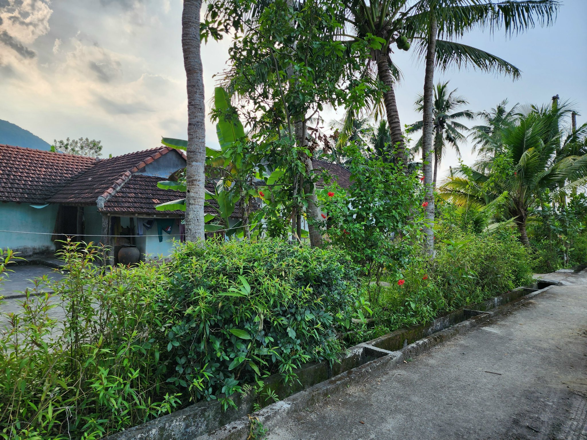 đất mỹ hòa đẹp, giá mềm full thổ