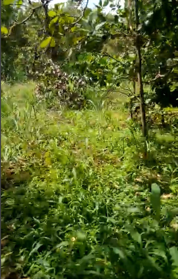 CẦN BÁN NHANH 3 LÔ ĐẤT ĐẦU TƯ SIÊU LỢI NHUẬN