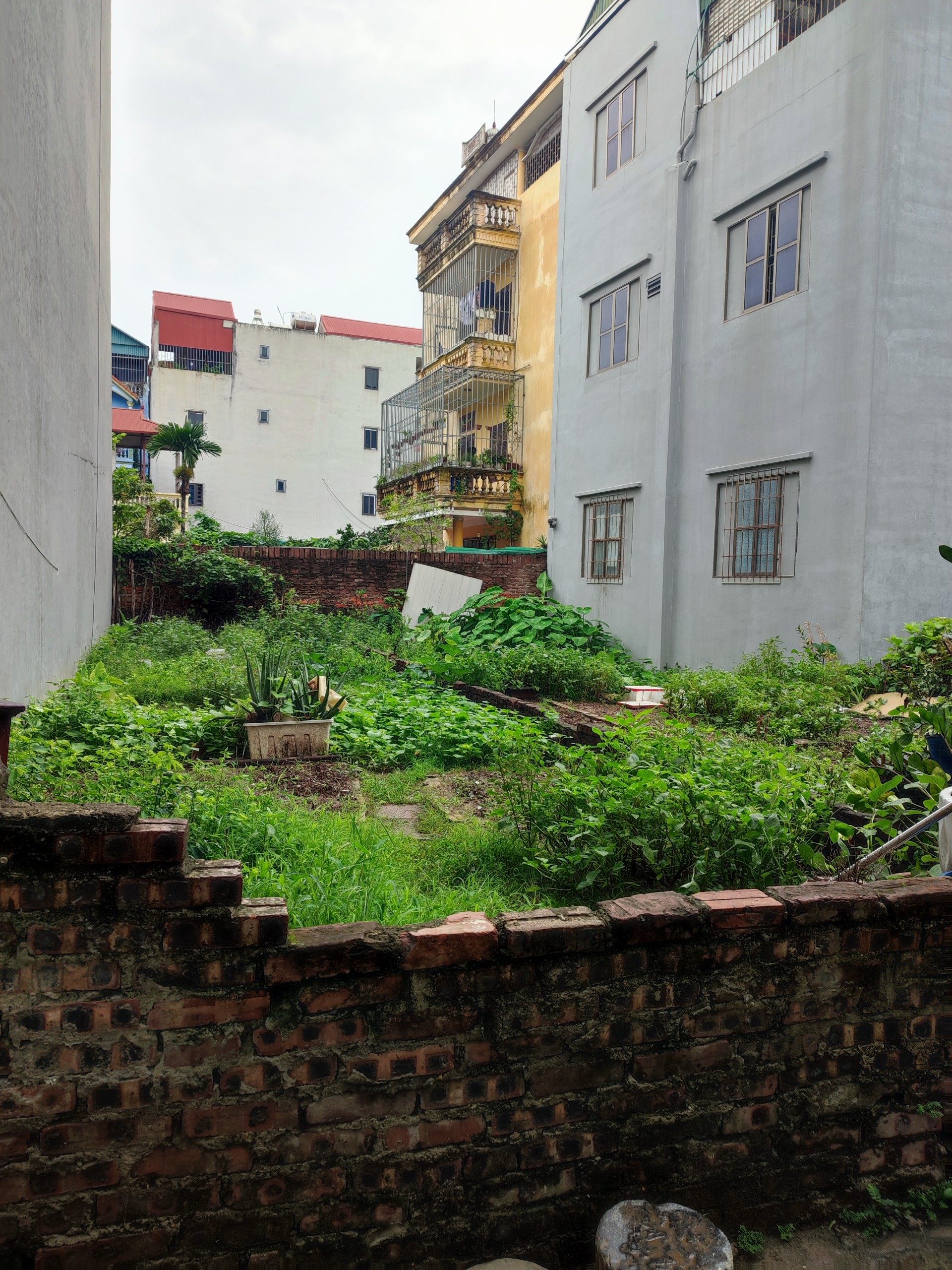 THỬA ĐẤT ĐẸP HIẾM PHẠM VĂN ĐỒNG 67M XÂY CCMINI, TÒA CHO THUÊ Ở ĐẦU TƯ TỐT