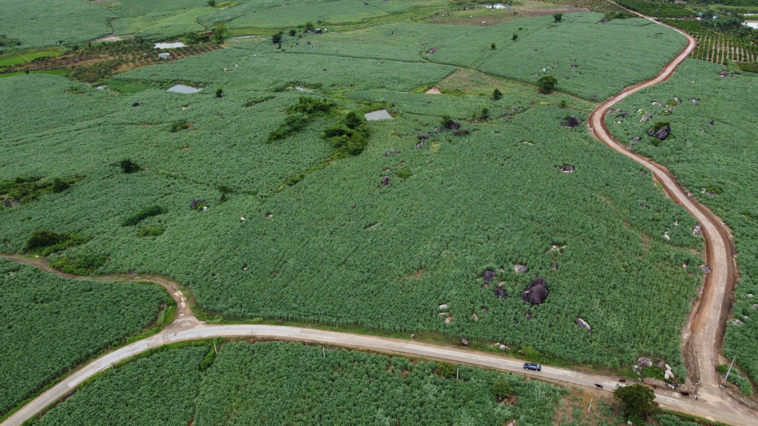 Bán 40.000m Đất Vườn Mía xã Ea Pil - Huyện M DRắc - tỉnh DakLak