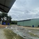  10000m2 - 3