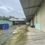 10000m2 - 6