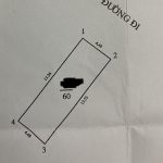  60m2 - 4