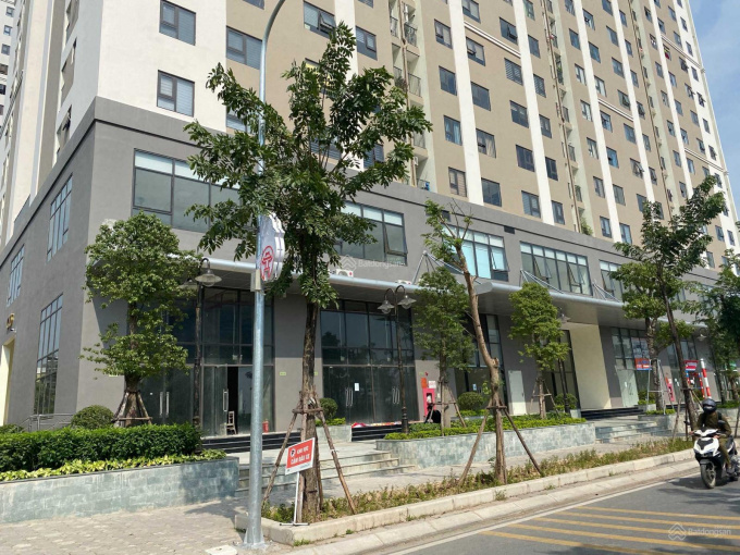 Bán 2 căn shophouse IEC Residences Tứ Hiệp , mặt đường đôi Vũ Lăng.