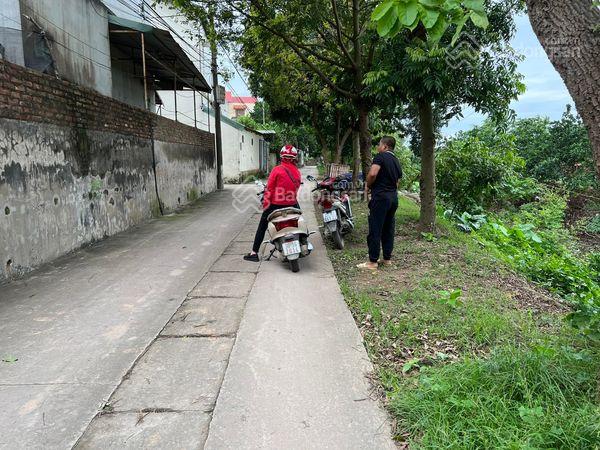 Bán đất sổ đỏ chính chủ ở Đại Lan, Duyên Hà, Thanh Trì.