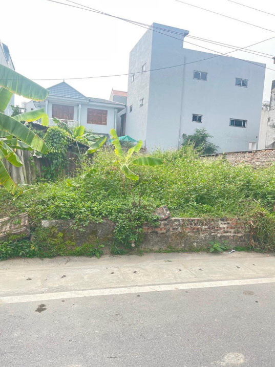 Bán đất thôn Cổ Dương xã Tiên Dương mặt đường 12m giá cắt lỗ.