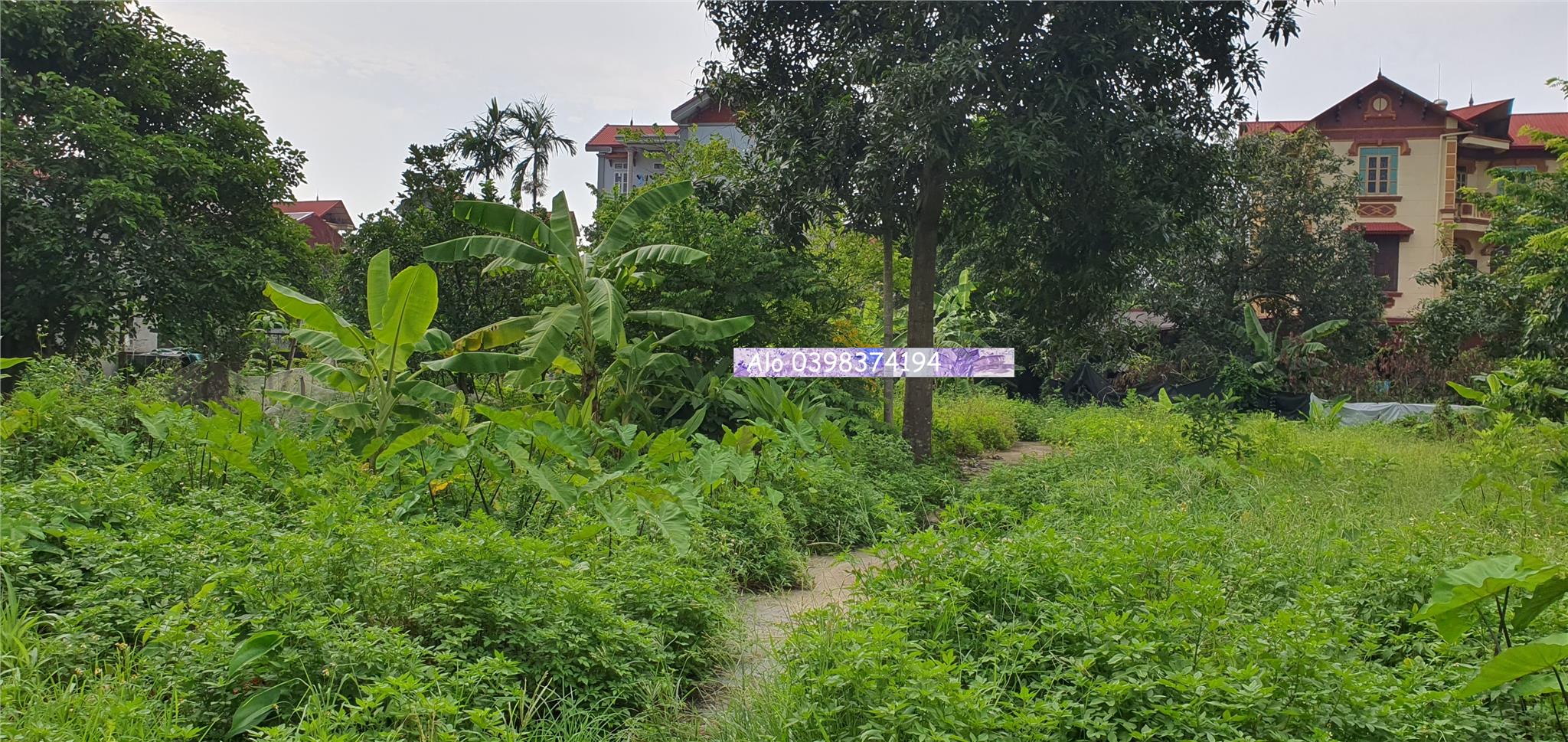 Nhỉnh 2 tỉ có siêu lô - đất xóm nhì, Vân nội 77.5m2.