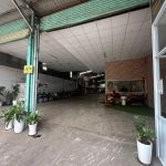  1000m2 - 5