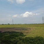  500000m2 - 6
