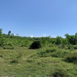  6200m2 - 4